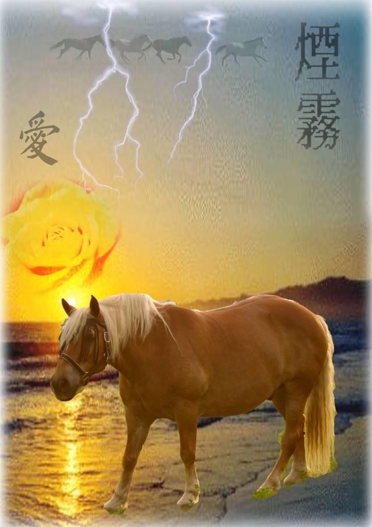 Collage -billeder af Sabrina Larsen - Smoky <3 <3 <3 billede 3