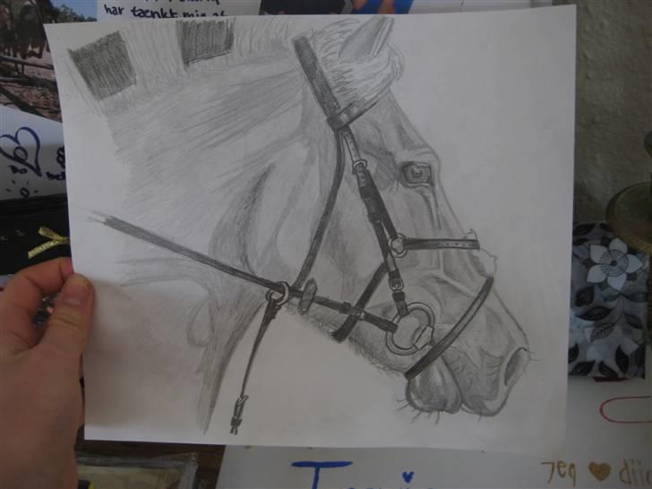 Tegninger  xD - Tegning af Zeus (fjordhest) :P . fødselsdagsgave til Camilla Block (sammen med noget andet self xD) billede 34