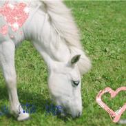 NYT: billeder til folk (: