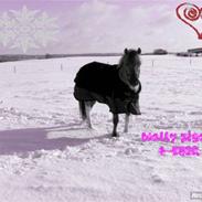 NYT: billeder til folk (: