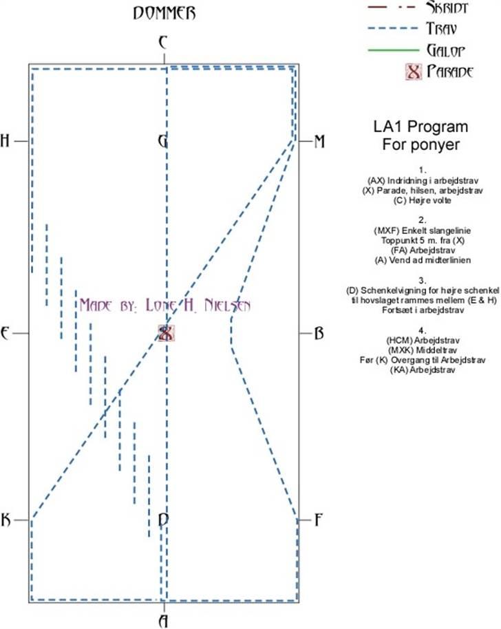 LA1 pony dressur for dummies - Side 1 af 4 billede 1