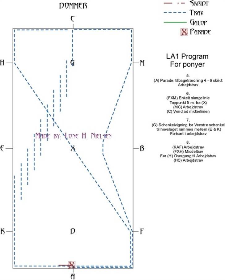 LA1 pony dressur for dummies - Side 2 af 4 billede 2