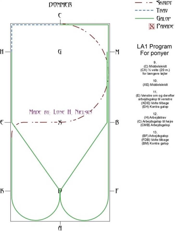 LA1 pony dressur for dummies - Side 3 af 4 billede 3