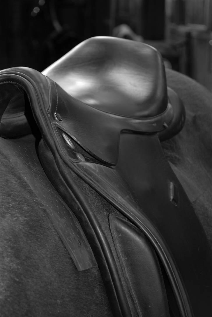 Camillas Fashion...  billede 39