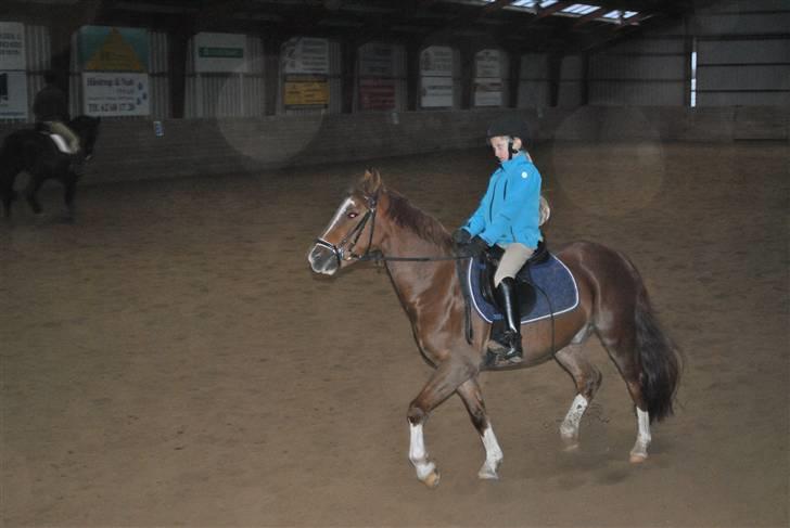 Ridetur på mauneten;) - Han går ikke til biddet men er han ikke smuk;) billede 2