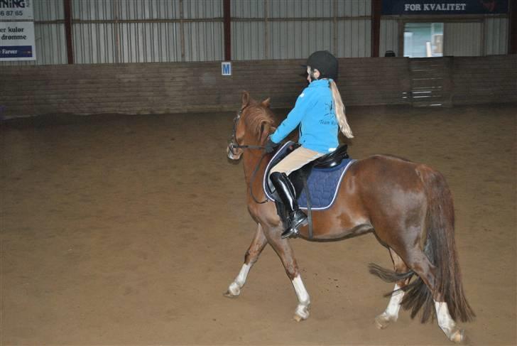 Ridetur på mauneten;) - Ud i hjørnerne!!!!;) billede 4