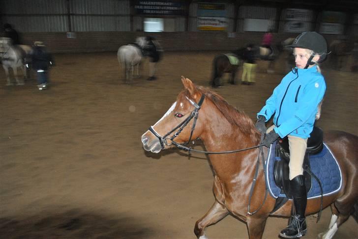 Ridetur på mauneten;) - Smukke maunet;) billede 5