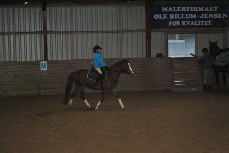 Ridetur på mauneten;) - På vej til øning;) billede 6