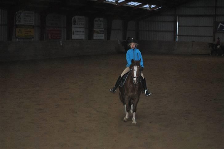 Ridetur på mauneten;) - Den anden vej i øning:) billede 7