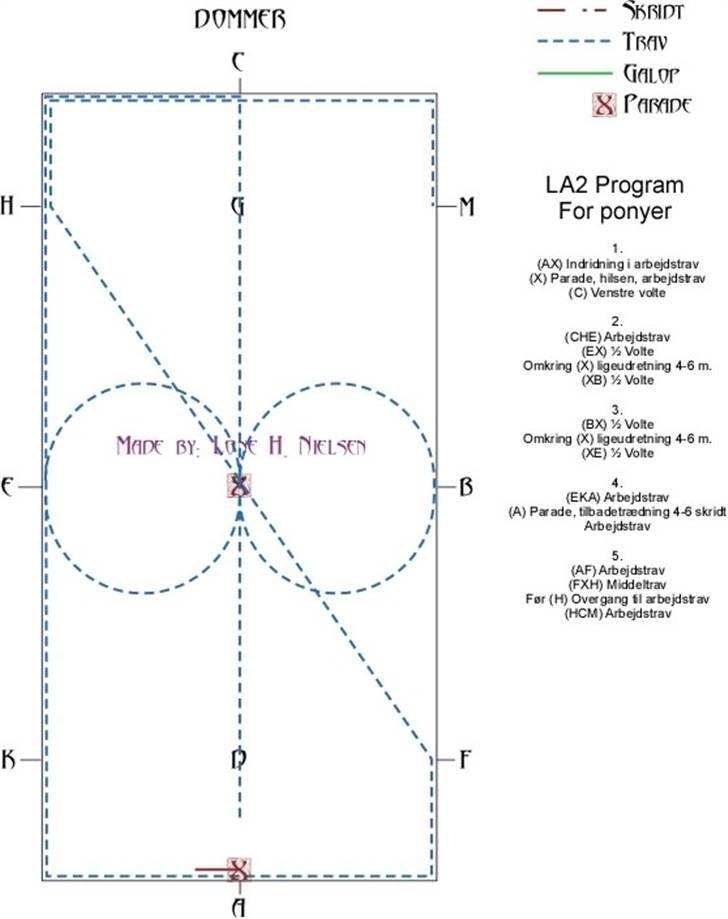LA2 pony dressur for dummies - Side 1 af 4 billede 1