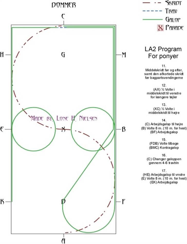 LA2 pony dressur for dummies - Side 3 af 4 billede 3