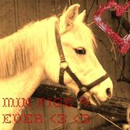 NYT: billeder til folk (: