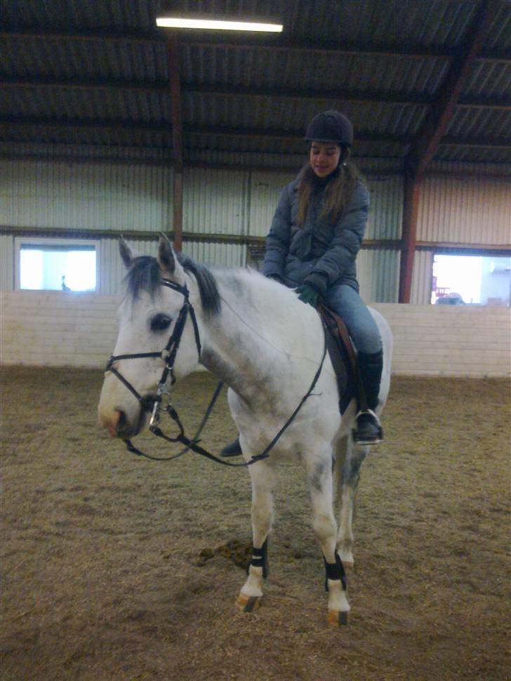 Stutsborg hestene - Redbull <3 (Og Nina) billede 10