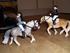 Stutteri All Horse (Schleich)Rideskole heste