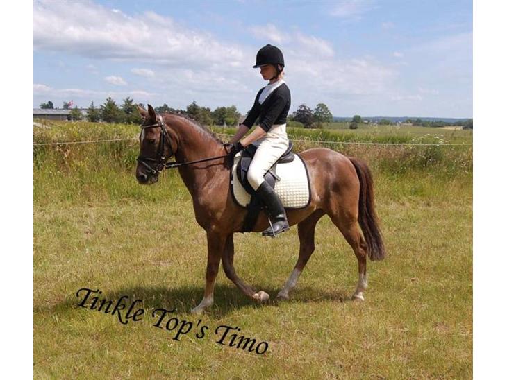 {{currentPhoto.altText}} billede {{currentPhoto.number}}