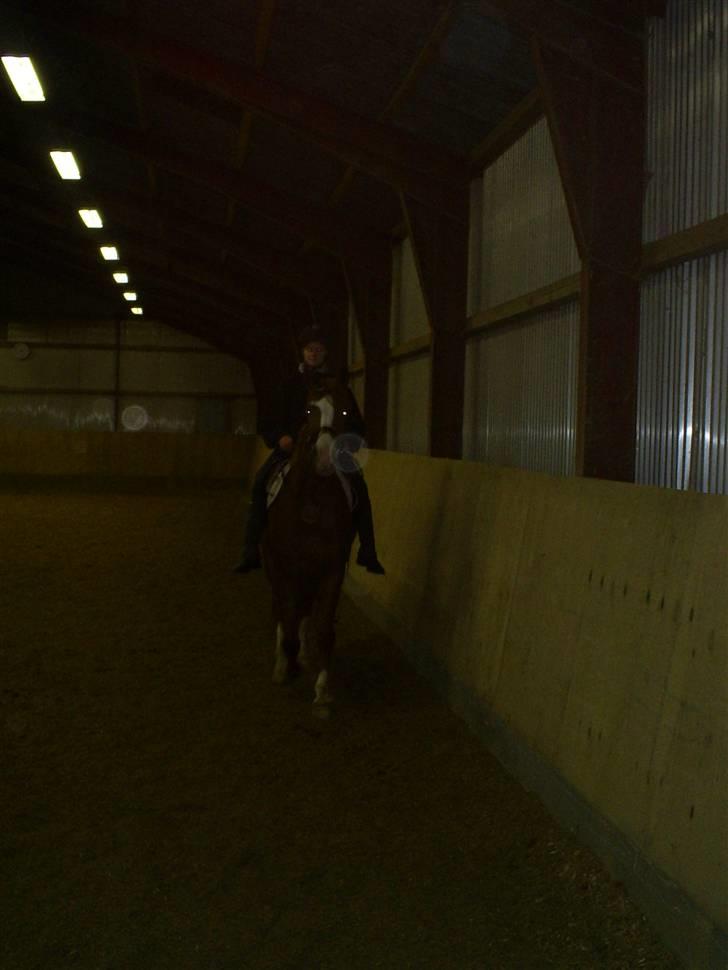 Hestene gennem årene :) - I 2006 eller 07 :) Lille Møllekærs Mackena, som jeg tilred for en veninde der ikke rigtig turde :) billede 3