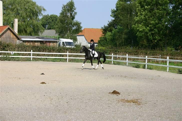 Hestene gennem årene :) - Østervangs Bellami e. Fiango W.
En pony jeg tilred i 2004-05 inden jeg fik Jessica, havde hende helt som min egen :)
Her er det til hendes første stævne i 2005, kun 3 år gammel :) billede 17