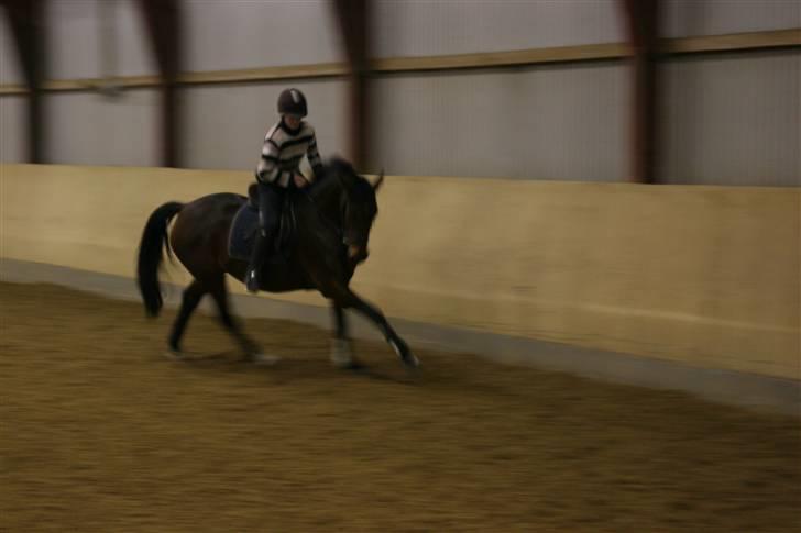 Hestene gennem årene :) - Lantana & jeg, træning :) billede 18