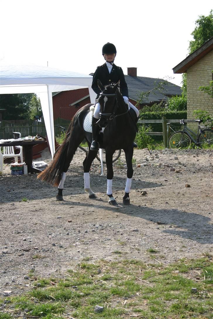 Hestene gennem årene :) - Bella og jeg til hendes første stævne :) billede 19