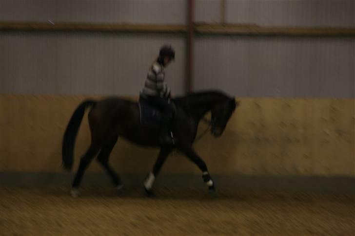 Hestene gennem årene :) - Lantana og jeg :) I 2006 billede 21