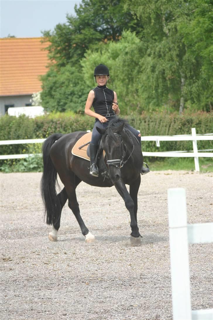 Hestene gennem årene :) - Xenia & jeg :')
I 2005, nogle måneder inden jeg fik Jessica. Red Xenia rigtig meget for Louise, som ejede hende dengang :b billede 25