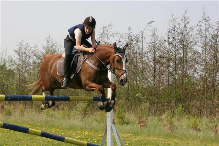 Hestene gennem årene :) - Og Jessica også, her i 2005 til træning :) billede 28