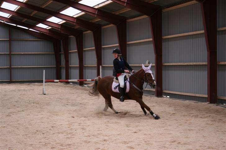 Hestene gennem årene :) - Jess og jeg til stævne vinteren 2005, 4 måneder efter jeg havde fået hende :) Vi red LC2 om lørdagen og sprang LB LA om søndagen :) Her i omhop :D billede 29
