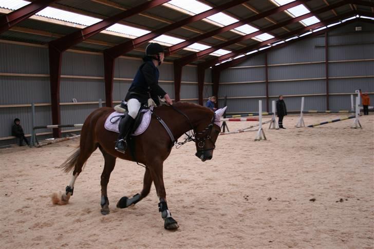 Hestene gennem årene :) - Inden omhop :D Tjekker lige banen igennem :)
Fik en bom i LB, og blev 1. upl. og vandt LA'en :) billede 30