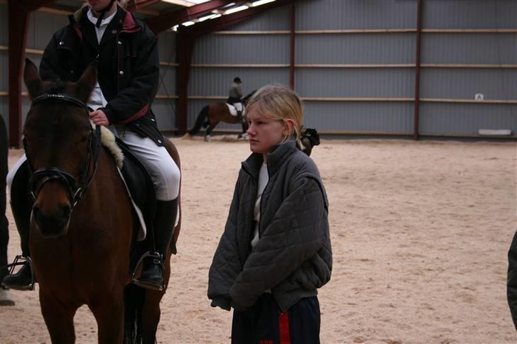 Hestene gennem årene :) - Til premieoverrekkselse. Hesten jeg står ved siden af har jeg sprunget 130 cm. på :D Lady, desværre død nu :/ billede 31