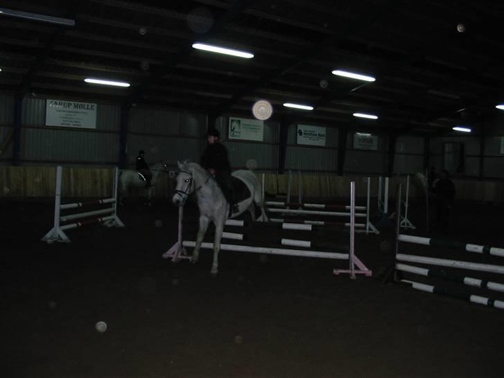 Hestene gennem årene :) - Springtræning på Lazslo på Bogø i 2004, på min 11 års fødselsdag :D Han er desværre aflivet nu :s billede 33