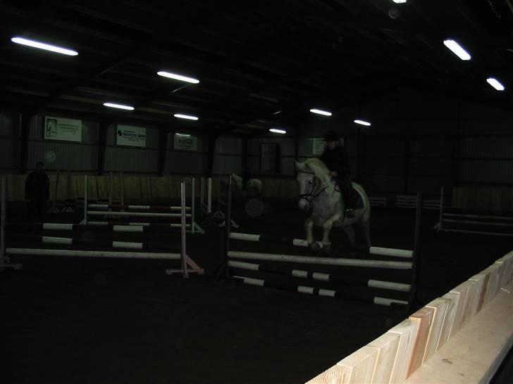 Hestene gennem årene :) - Igen ^^ billede 34