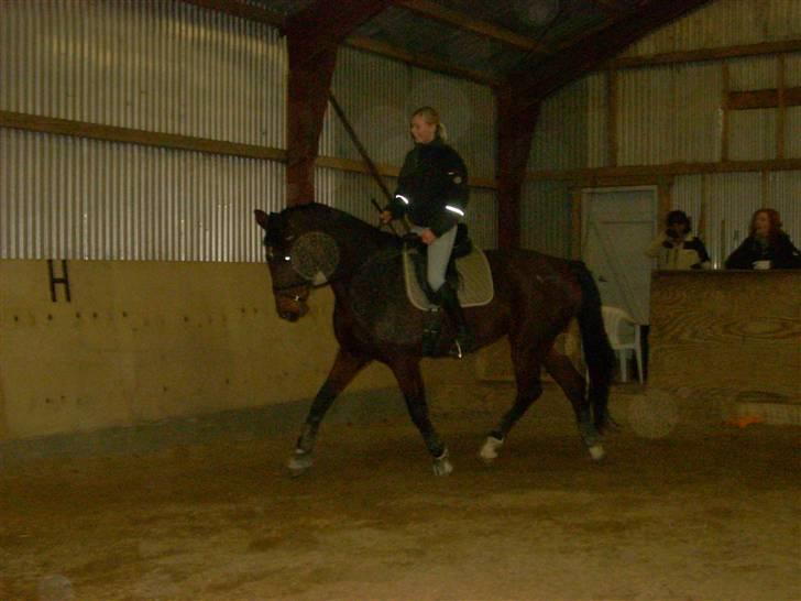 Hestene gennem årene :) - Lillebror som jeg red en del :) Her med hans ejer Camilla på ryggen :) billede 38
