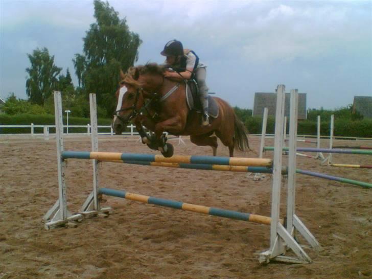 Hestene gennem årene :) - Jess & jeg springtræning i 2007 :) billede 44