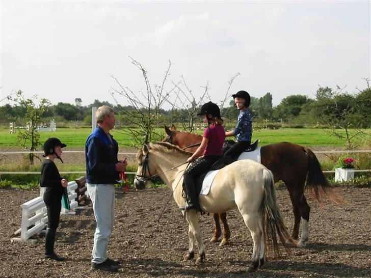 Hestene gennem årene :) - Min allerførste stævne, fik en 1. pl. :D billede 47