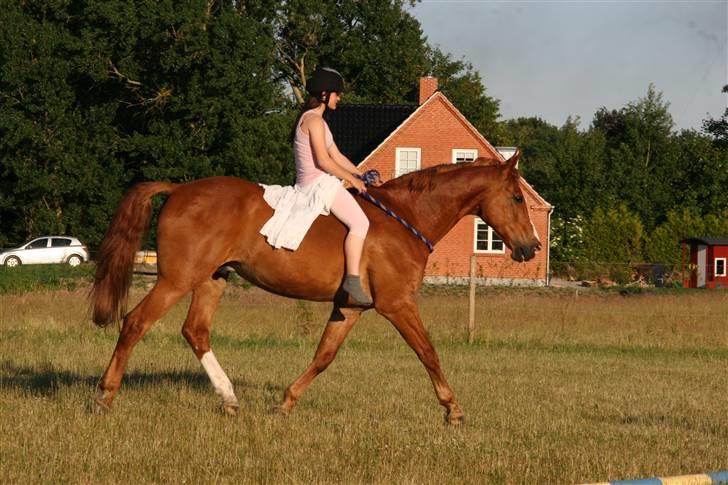 Hestene gennem årene :) - Delle og jeg i cordeo på springbanen :) billede 49