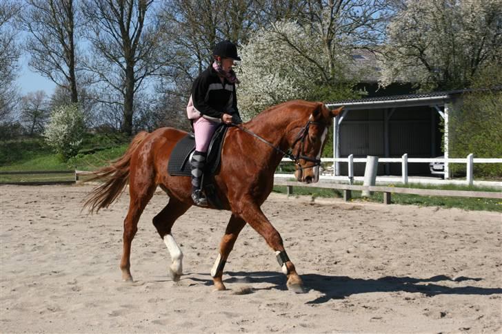 Hestene gennem årene :) - Delle og jeg i 2009 x) billede 55