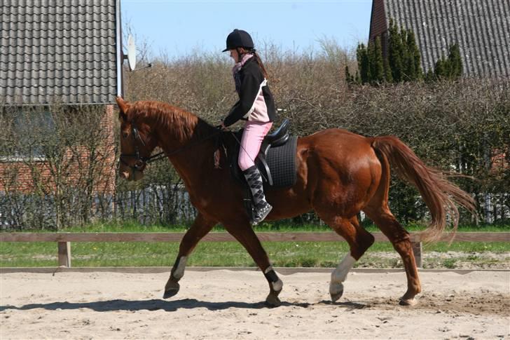 Hestene gennem årene :) - Delle og jeg igen :b billede 57