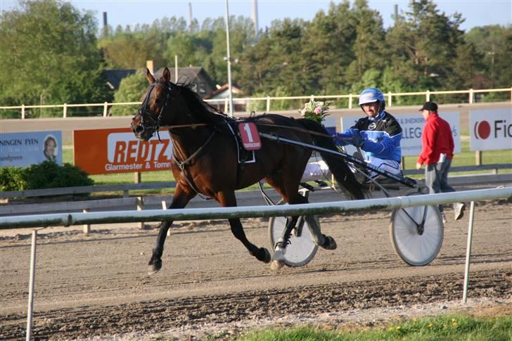 Hestene gennem årene :) - Laban Act e. Why Not :)
Dejlig hingst jeg trænede for Stefan i 2009 :) billede 66