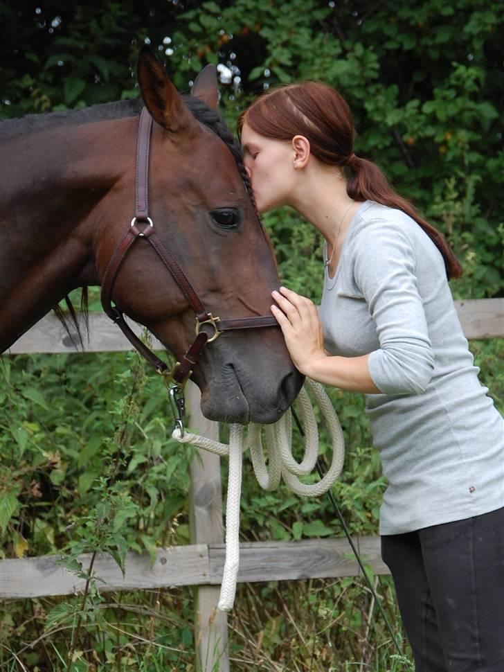 Hestene gennem årene :) - Laban og jeg igen ^^ :) Savner ham sku lidt :) billede 71