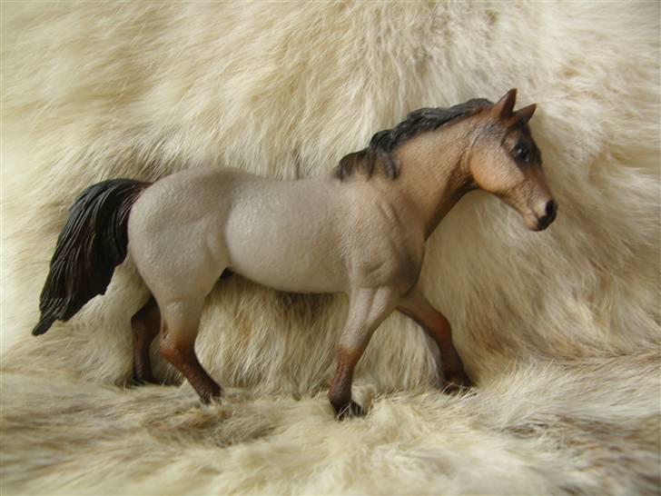 Mine Schleich Dyr - Navn: Jonny Tivo. Race: Quater. Køn: Hingst. Alder: 4 år billede 23