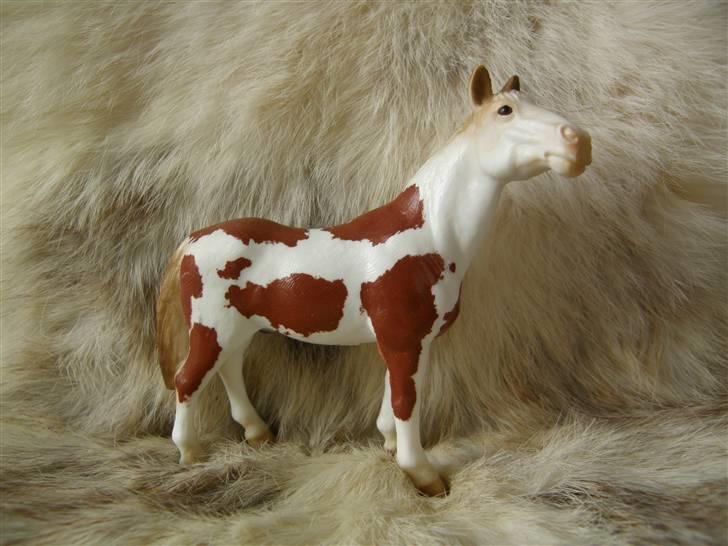 Mine Schleich Dyr - Navn: Hidalgo Race: Pinto Køn: Vallak Alder: 15 år billede 12