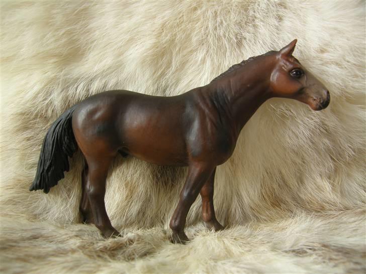 Mine Schleich Dyr - Navn: Seabiscuit Race: Fuldblod Køn: Vallak Alder: 8 år billede 24