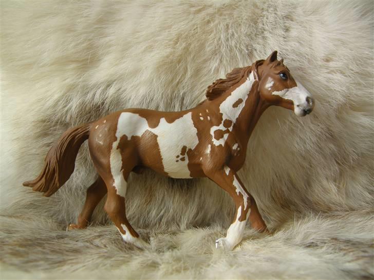 Mine Schleich Dyr - Navn: Cloud Dancing Race: Pinto Køn: Hingst Alder: 6 år billede 112