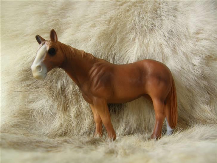 Mine Schleich Dyr - Navn: Santana. Race: Quater. Køn: Hoppe. Alder: 14 år billede 26