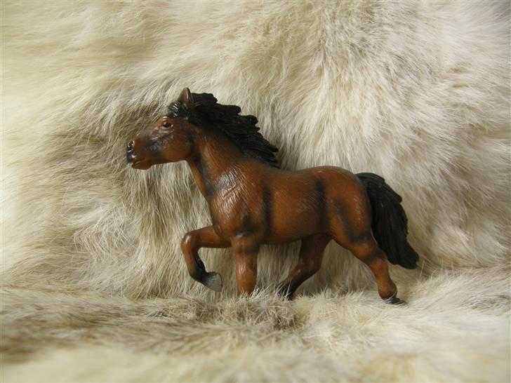 Mine Schleich Dyr - Navn: Saga (Ældgammel historie). Race: Islænder. Køn: Hoppe. Alder: 7 år billede 32