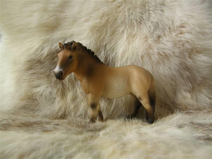 Mine Schleich Dyr - Navn: Preview Race: Przewalski Køn: Hoppe Alder: 7 år billede 34
