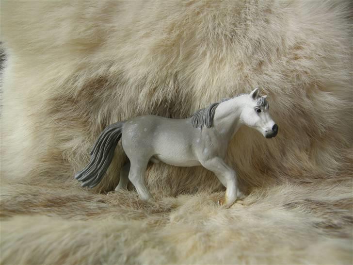 Mine Schleich Dyr - Navn: Magic Silver Star (Maggi/Mac). Race: Ukendt evt. Welsh Pony sek. B. Køn: Vallak. Alder: 10 år billede 16
