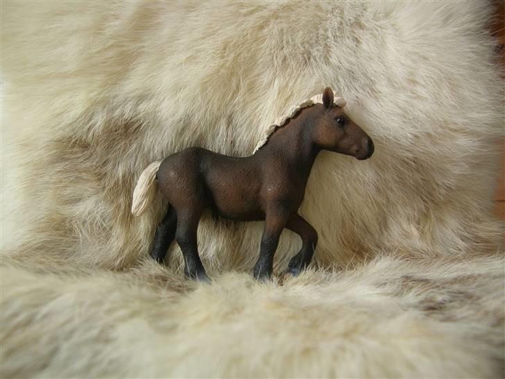 Mine Schleich Dyr - Navn: Hindbærgården's Fighter Race: Schwarzälder Køn: Hingst Alder: 8 mdr. Stamtavle: Mor: Franka Far: Fury Ferrari billede 101