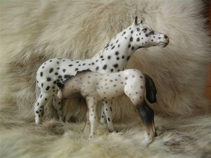 Mine Schleich Dyr - Navn: Pandora. Race: Knabstrupper. Køn: Hoppe. Alder: 6 år. Navn: Hindbærgården's Apachie. Race: Knabstrupper. Køn: Hingst. Alder: 5 mdr. Stamtavle: Mor: Pandora. Far: Aiko billede 38