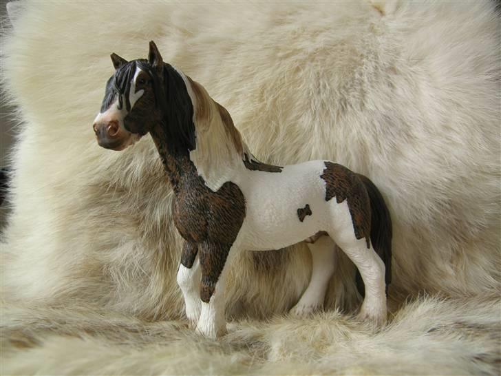 Mine Schleich Dyr - Navn: Holms Picasso Race: Tinker Køn: Hingst Alder: 10 år billede 39